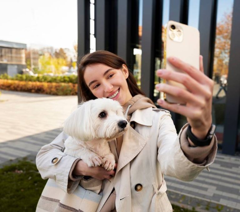Lost Dog App
