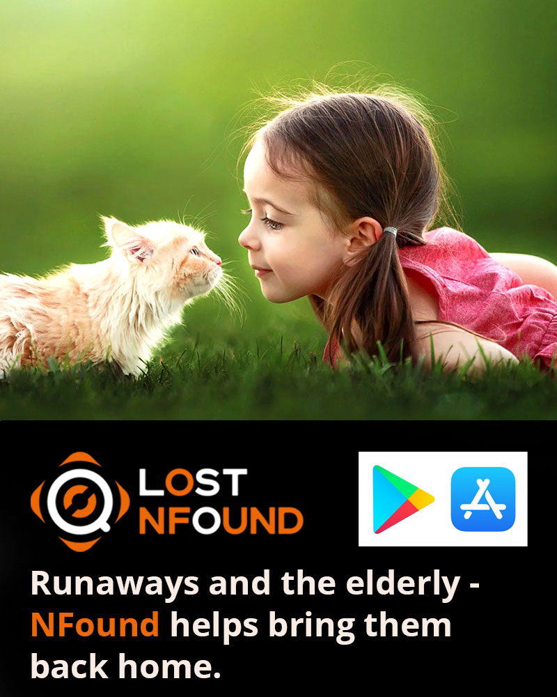 Download the NFound app