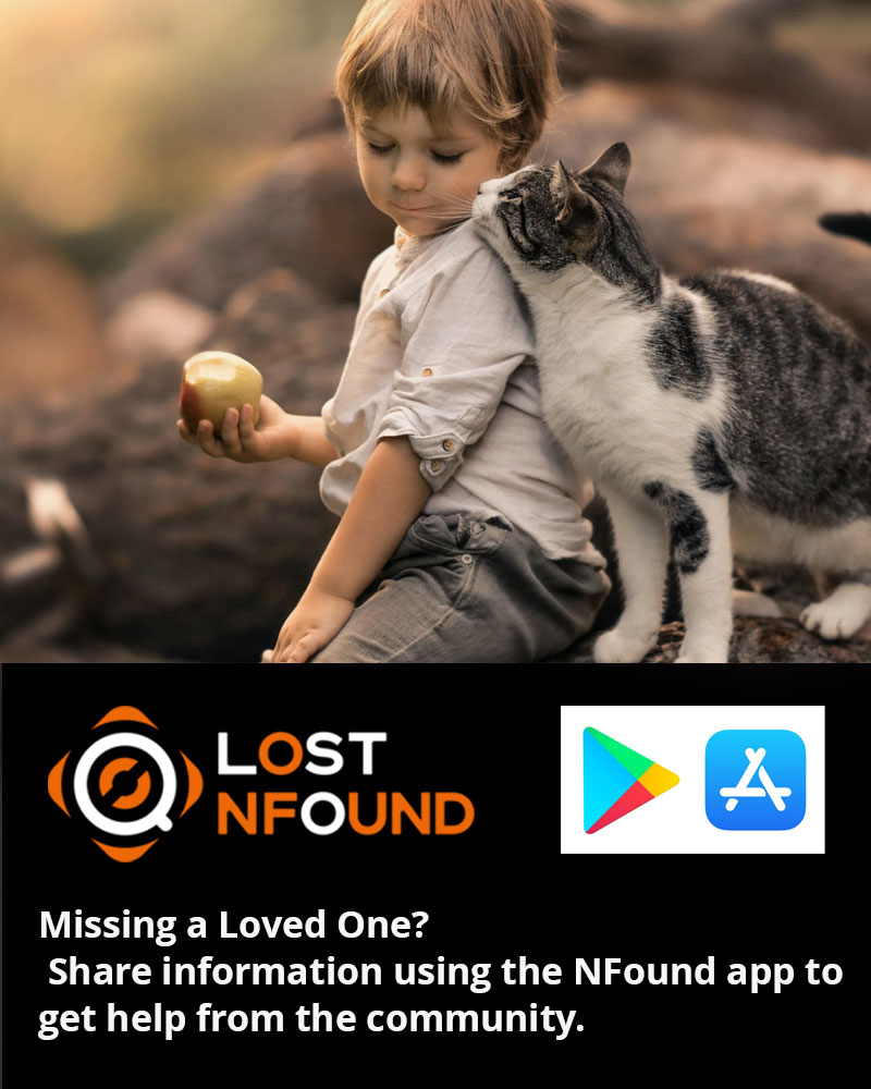 Download the NFound app